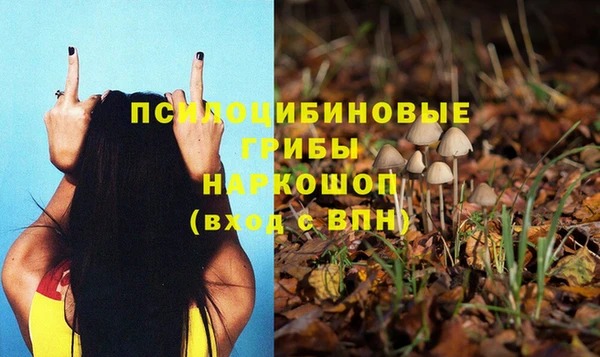 бутират Арсеньев