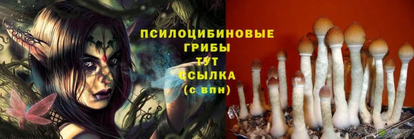 бутират Арсеньев