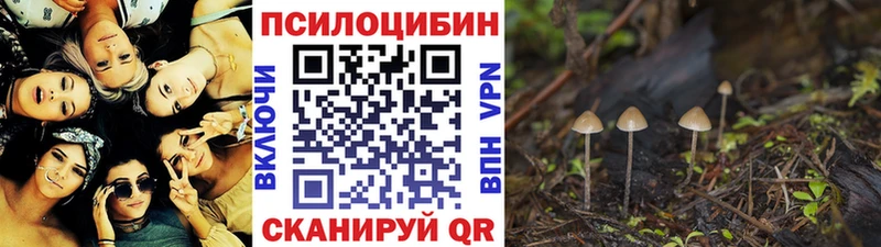Псилоцибиновые грибы Magic Shrooms цена Светогорск